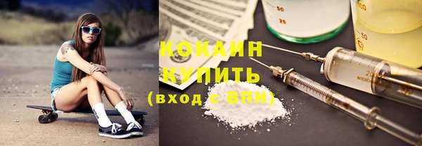 СК Новозыбков