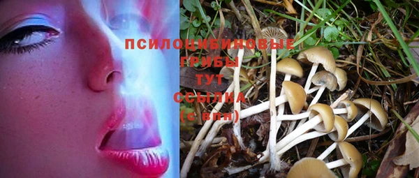 ешки Нязепетровск