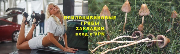 2c-b Нягань