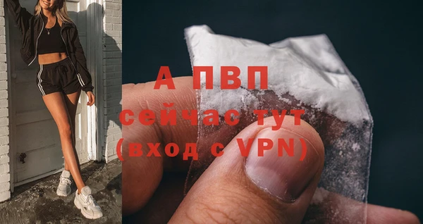 СК Новозыбков