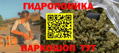 тгк Абинск