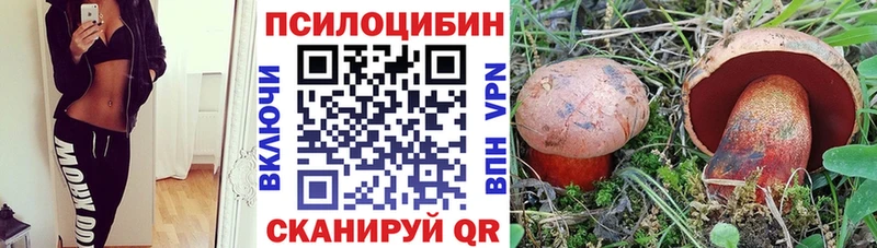 Галлюциногенные грибы мухоморы  блэк спрут маркетплейс  Курган 